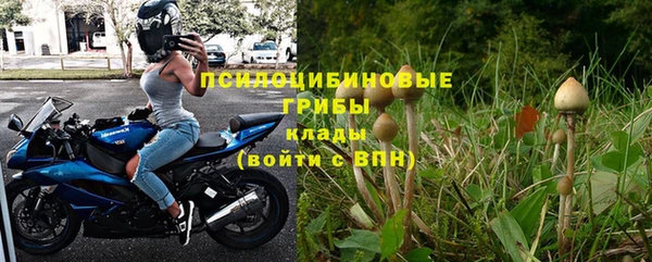 эйфоретик Иннополис