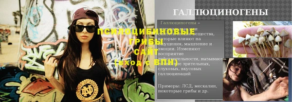 эйфоретик Иннополис