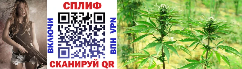 Купить где  Донской  Шишки марихуана OG Kush 